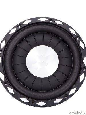 10 Inch Audio Loudspeaker Active Speaker Car Subwoofer