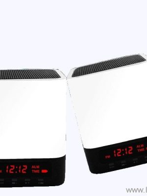 Audio Amplifier Horn Blutooth Speaker
