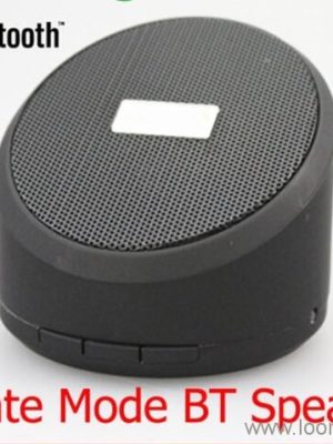 bluetooth portable magnetic speaker
