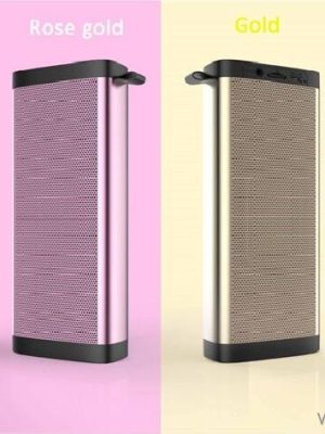 Bluetooth Speaker with Dual Speakers