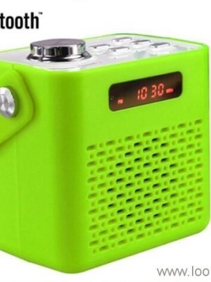 Bluetooth Speaker with LED Light & Remote
