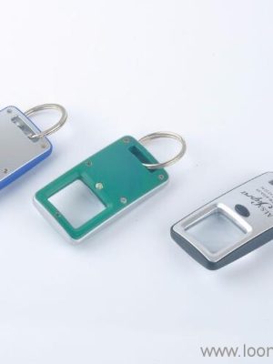 LED Keychain Light With Magnifier