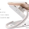 Stand-Alone Phone Security Display Holder