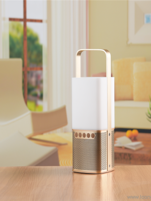 portable lantern speaker with color light