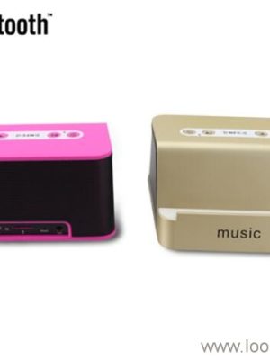 Portable Speaker Bluetooth with Stand