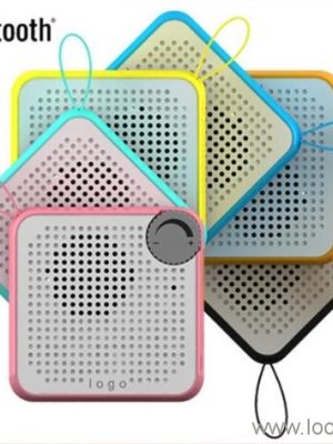 Private Mold Mini Bluetooth Speaker