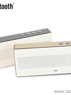 TF card & Line Portable bluetooth speaker