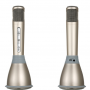 wireless-microphone-bluetooth-speaker-01