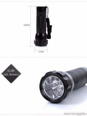 Mini led flashlight torch with 12 led