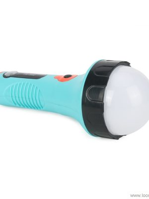 solar panels have hand take a compass flashlight